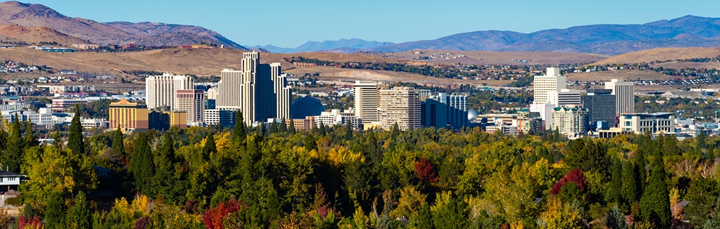 Reno skyline and residential area.